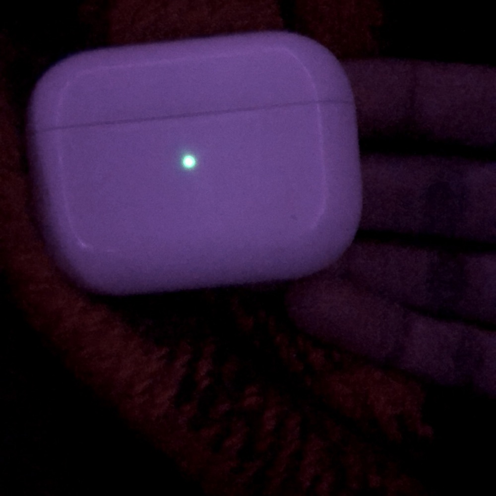 Airpod Pro Case (no headphones included)